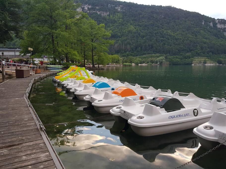Joli Appartement En Face De Lac Нантюа Екстер'єр фото