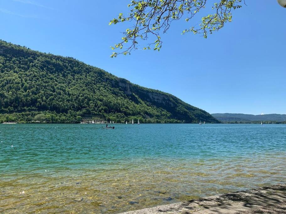 Joli Appartement En Face De Lac Нантюа Екстер'єр фото