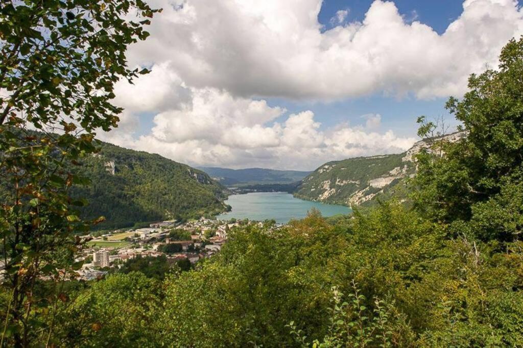 Joli Appartement En Face De Lac Нантюа Екстер'єр фото